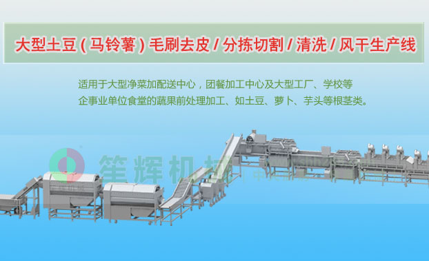 海阳连续式土豆去皮清洗切割风干生产线